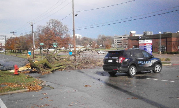 Normal storm damage